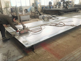 Changzhou Skyerscale Co.,Limited ligne de production en usine