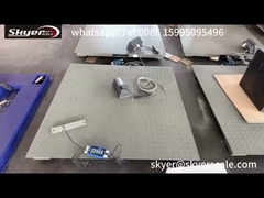 Acier de bonne qualité 1,2mx1,2m Plateforme de pesage de 3 tonnes avec plaque anti-souris