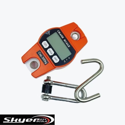 qualité  300kg Digital Crane Scale with LED LCD Display Usine