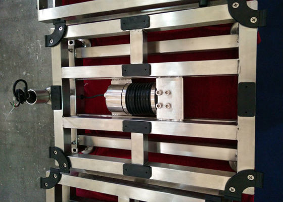 L'acier inoxydable balayé 300kg imperméabilisent des échelles de banc 40x50cm