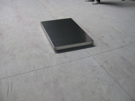 Acier inoxydable 304 balances de chien bas du plateau 150kg