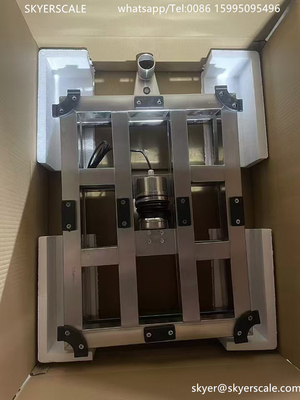 Échelle industrielle de poids de Digital d'anti plate-forme zéro automatique de rouille