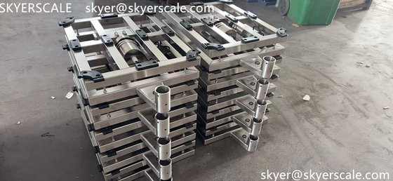 Échelle de banc industriel en acier inoxydable de haute précision de 300 kg à 800 kg Échelle de plateforme de pesage