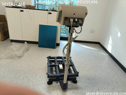 Machine à peser numérique industrielle 450x600mm 300kg Balances de plateforme