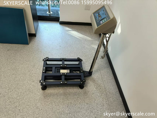 300 kg de plate-forme Bench Scale Connectez un ordinateur avec Rs232