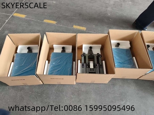 Échelle de pesage de banc économique 200 kg Échelle de plateforme en acier au carbone