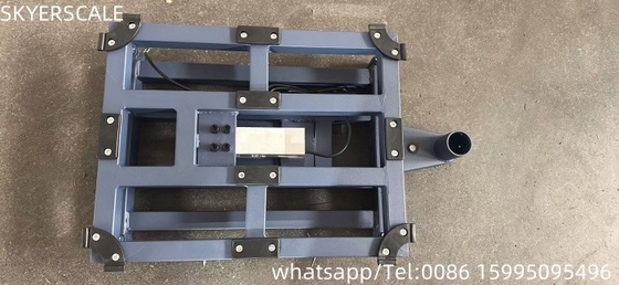 Échelle de plateforme électronique numérique TCS de 300 kg avec traitement en poudre en option
