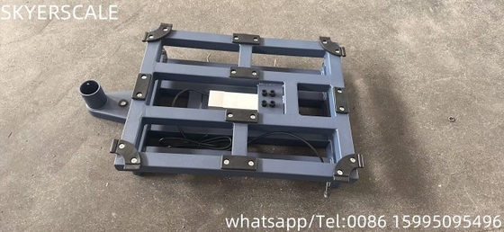Échelle de plateforme électronique numérique TCS de 300 kg avec traitement en poudre en option