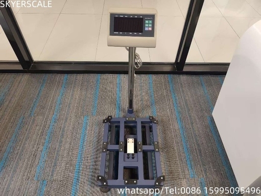 Acier au carbone numérique 45x60cm 300kg Balance de plateforme Balance de banc avec indicateur de pesage T7+E