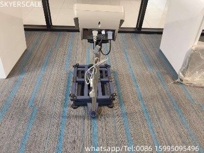 Plateforme électronique de pesage Balance économique Balance de banc 300 kg