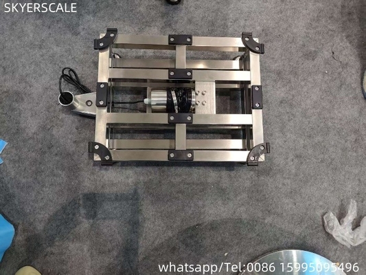 Fabrique 304 en acier inoxydable complet 400x500mm 300kg étanche à l'eau échelle de plateforme IP67