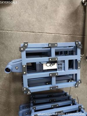 Plateforme électronique de banc échelle 400x500mm Protection contre la surcharge en acier au carbone 100kg 200kg 300kg