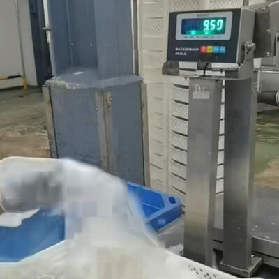 Balance de paillasse étanche en acier inoxydable 304 de 30x40cm - 100kg