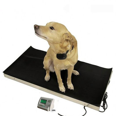 Échelle animale de poids de Digital de précision de LED 60kg