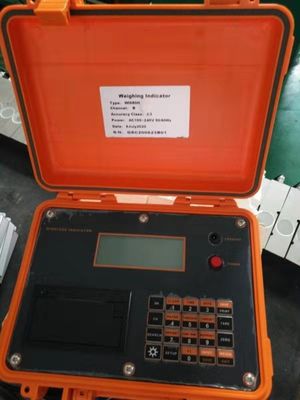 La surcharge du véhicule de multi-axe mesure avec le profil bas l'axe que portatif pèsent des protections roulent des échelles