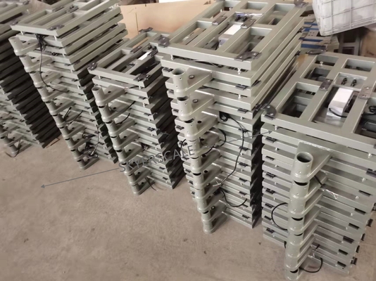 échelle de plate-forme électronique de TCS 800kg, balances de plancher de banc