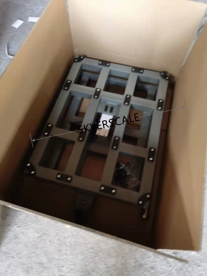 échelle de plate-forme électronique de TCS 800kg, balances de plancher de banc
